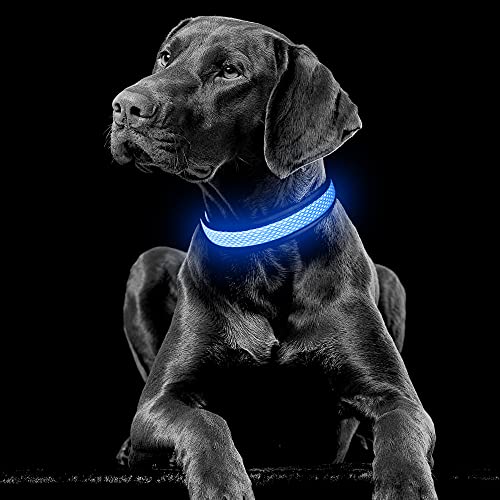 YFbrite Light up Dog Collar, USB Rechargeable LED Puppy Collar Super Bright Adjustable Glowing Dog Lights for Night Walking (Blue, Small) - color: Blue, size: Small