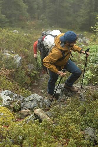 Cascade Mountain Tech Trekking Poles - Carbon Fiber Walking or Hiking Sticks with Quick Adjustable Locks - color: Black Ultralight, style: Ultralight Carbon Fiber Eva Grip