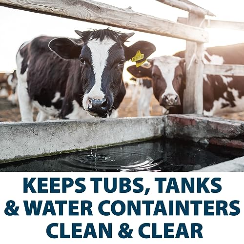 Airmax Stock Tank Defense Livestock Water Trough Cleaner Treatment, 6 Tabs | Clean drinking tanks for horse, cattle, goat & chicken with safe, easy-to-use tablet for farming & agricultural use - size: 6 Tablets