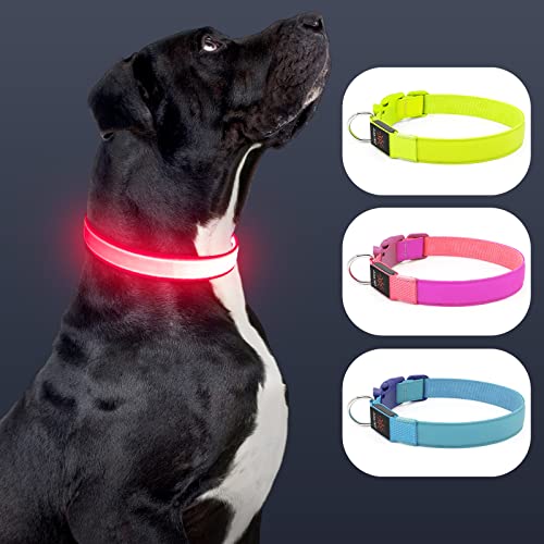 LED Dog Collar Light Up Dog Collars Red Light USB Rechargeable, Adjustable Size Heavy Duty TPU Nylon Webbing Glow Safety Basic Dog Collars for Large Medium Dogs (M,Candy Pink) - color: Pink-Fully adjustable (Red Light), size: M(13.39-19.69 inch/34-50 cm)