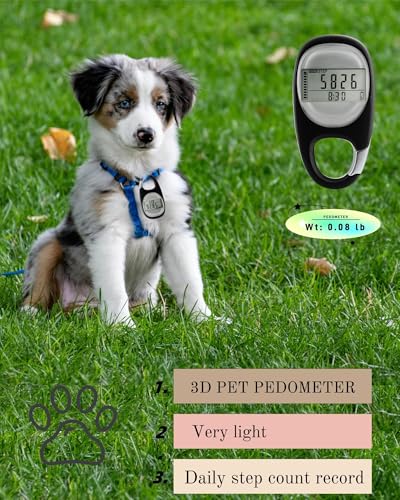 3D Pedometer for Walking Steps Miles, Distance Tracking, Calorie Count, and Activity Time, Step Counter Took on The Treadmil, Accurate Step Tracker with Carabiner for Men Women Seniors Pet - color: black