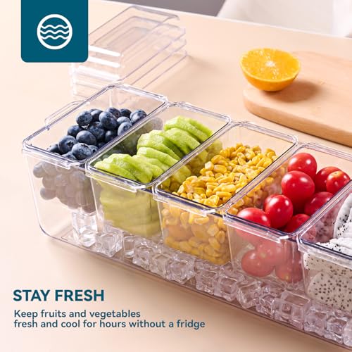 Chilled Garnish Tray with 5 Small Removable Containers and Compartments | Ice Chilled Condiment Organizer Server, Clear Garnish Serving Platter for Fruit, Salad, Food, Outdoor Events, Picnics - size: 1 Pack
