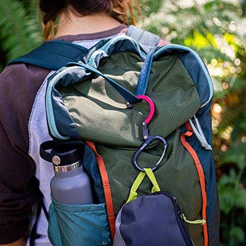 GEAR AID HEROCLIP (Small) Carabiner Gear Clip and Hook, for Hanging Bags, Purses, Lanterns, Strollers, Tools, Helmets, Water Bottles, and More - color: Stealth Black, style: 2 Pack