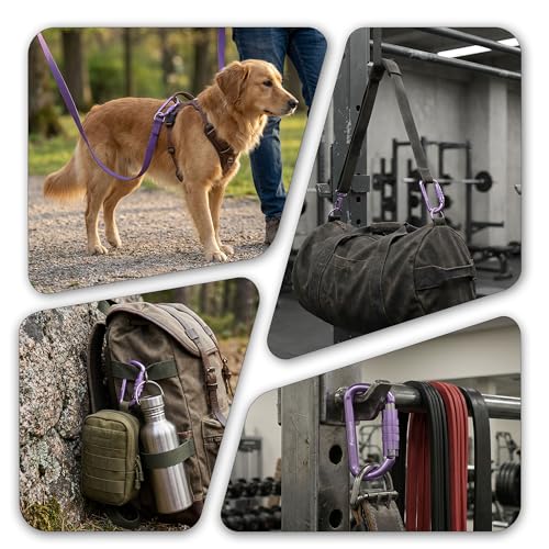 FresKaro 3inch 12kN-2698lbs Auto Locking Carabiner Clips, Solid D Shape, Heavy Duty 7075 Aluminum, Lightweight 1.09oz, Rust Proof, for Hammock, Hiking, Dog Leash, Keychain etc., Multi-Colors - color: Purple-3pcs