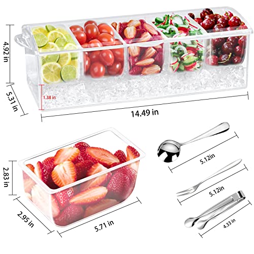 Condiment Tray with Stainless Steel Tableware, Chilled Condiment Server | Bar Accessories with 5 Spoons, 5 Forks and 1 Clip with Removable Trays and Lid