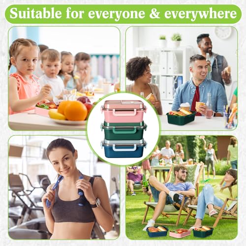 Hushee 3 Pack 42 oz Bento Lunch Box 2 Layers 3 Compartments Bento Plastic Box for Adults, Microwave Dishwasher and Freezer Safe Lunch Snack Containers and Cutlery for Travel, Back to School, Office