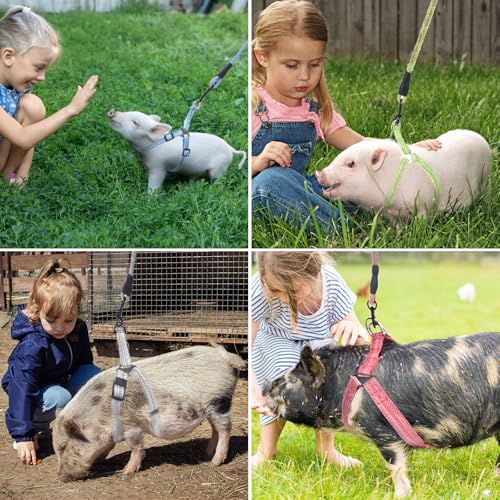 YeeBeny Mini Pig Harness Adjustable with Leash Foam Handle Green, M - color: Green, size: M