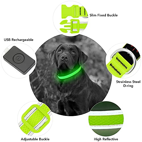 YFbrite Light up Dog Collar, USB Rechargeable LED Dog Collar, Super Bright Dog Lights for Night Walking, Adjustable Dog Collar Light for Dog Safety (Green, Large) - color: Green, size: Large