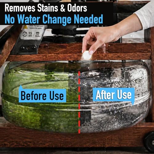 Water Purification Tablets for Rowing Machines, Bulk Pack for Home & Gym Use | Long-Lasting Tank Cleaner, Odor Removal & Eco-Friendly Water Treatment (20)