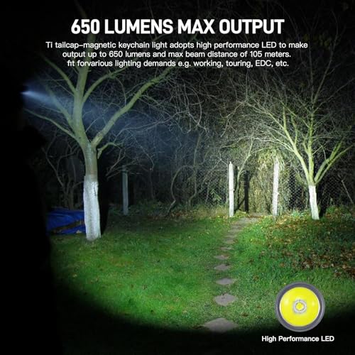 ThruNite Ti USB-C Rechargeable Keychain Flashlight, 650 Lumens(2PCS) | 5 Brightness Modes, IPX-6 Waterproof, 6061-T6 Aluminum, 26.5g Pocket Mini Light for EDC Camping & Everyday Carry - color: Grey (2PCS)