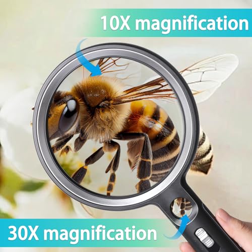 Handheld Magnifying Glass with Light, 10X 30X Optical Glass Magnifying Glass with 31 LEDs Lighted, The Essential Magnifier for Seniors, Reading, Puzzle, Coins, Jewelry, Inspection & Close Work