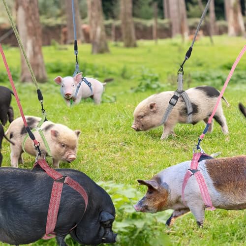 YeeBeny Mini Pig Harness Adjustable with Leash Foam HandleBlue, XL - color: Blue, size: XL