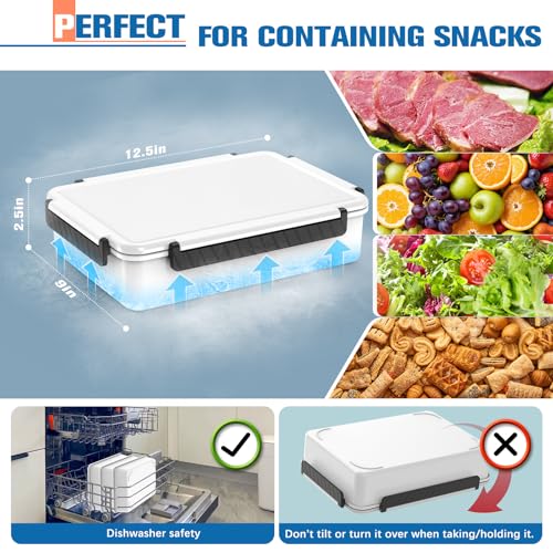 Chilled Portable Snackle Box Container with Ice Pack, Divided Serving Tray with Insulated Bag, Beach Essentials for Summer, Snack Containers for Road Trip Charcuterie Snack Picnic, White - color: White
