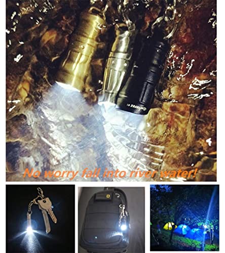 e1 Smallest Keychain Flashlight Micro Tiny Mini Keychain Light Long-Lasting Safety Light for Everyday Carry Emergencies Outdoor Dog Walking Hiking Camping Nice Gift for Parents Kids - color: Black*2pcs