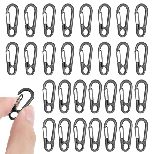 30 PCS Mini Carabiner Clip, Metal Spring Snap Hook Keychains Small Carabiner Clip for Keys, Micro Carabiners with a Transparent Storage Box Key Carabiners Clips Sport Accessories for Outdoor Camping