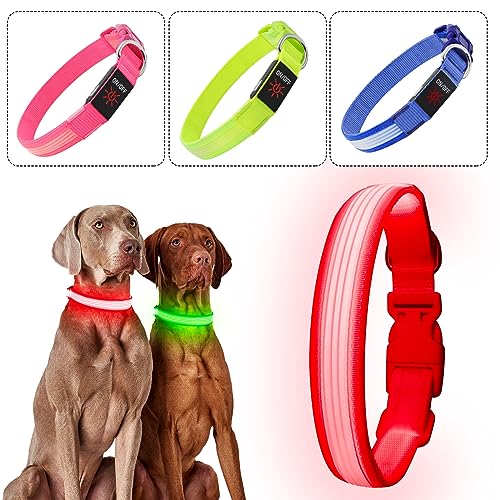YFbrite Light up Dog Collar, USB Rechargeable LED Puppy Collar Super Bright Adjustable Glowing Dog Lights for Night Walking (Design 2- Pink, Small) - color: Version 2.0-- Pink, size: Small