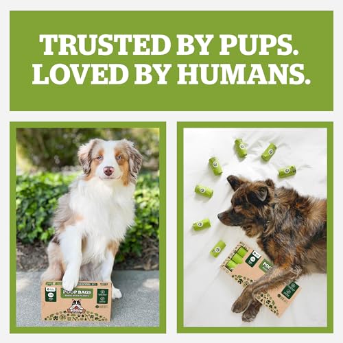 Pogi's Compostable Poop Bags – Leak-Proof, Extra-Large, Made with Plants – 18 Rolls (270 Bags) - size: 1 Count (Pack of 270)