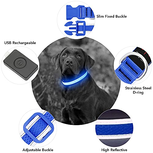 YFbrite Light up Dog Collar, USB Rechargeable LED Puppy Collar Super Bright Adjustable Glowing Dog Lights for Night Walking (Blue, Large) - color: Blue, size: Large