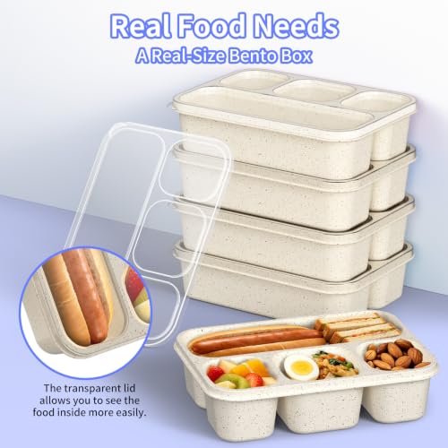Bento Box 5-Pack, 4-Compartment Lunch Box for Women, Men & Kids, BPA-Free Wheat Straw Snack Containers, Ideal for Meal Prep, Travel, School, Work (White) - color: White