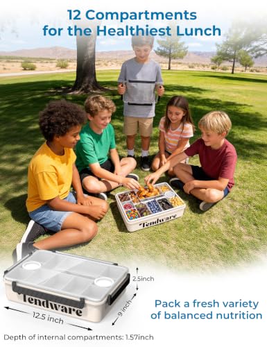Chilled Snackle Box Container with Ice Pack, Divided Tray with Clear Lid & Bag, 8+Hrs Cooling, Beach Road Trip Essential for Family, Travel Snack Container for Picnic Camping Tailgate, Gifts for Women - color: Transparent & Cream