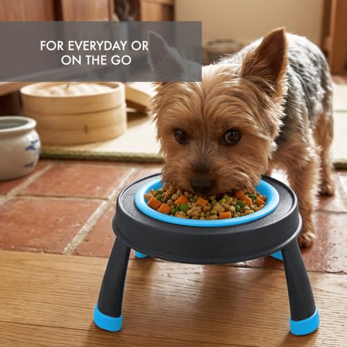 Dexas Pets Elevated Pet Feeder, Small, 1.5 Cup Capacity, Blue, Raised Pet Food and Water Bowl - color: Blue, size: Small/1.5 Cup Capacity
