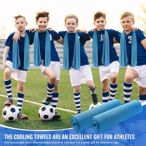 Hosuly 6 Pack Cooling Towel 40" X 12", Cool Neck Wrap,Light Blue | Cooling Rag for Neck and Face, Ice Breathable Chilly Towels, Portable Bag, Quick Cooling for Hot Weather - color: Light Blue