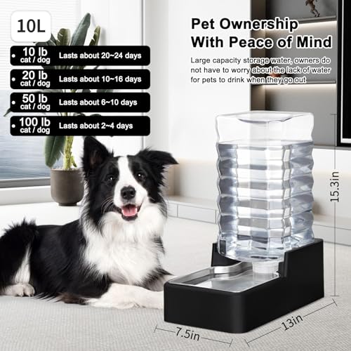 RIZZARI 10L Automatic Dog Water Dispenser for Dog: No Filter - color: Black without Filter, size: 10L