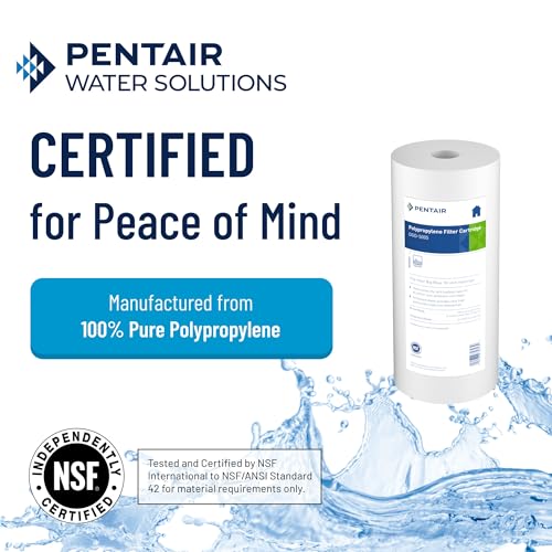 Pentair Pentek DGD-5005 Big Blue Water Filter, 10-Inch Whole House Sediment Filter Cartridge Replacement, Dual-Gradient Density Spun Polypropylene, 10" x 4.5", 5 Micron, Pack of 1 - size: Pack of 1