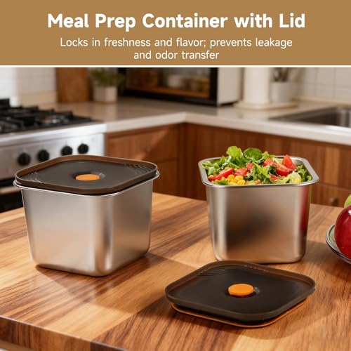 OMISTAR 2 PCS Stainless Steel Food Storage Containers with Lids, Leak-Proof Square Meal Prep Containers with Airtight Silicone Seal, Freezer and Oven Safe Lunch Boxes for Fruit, Snack, Leftover