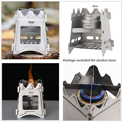 Ultralight Titanium Wood Burning Stove Outdoor Camping Multi-Fuels Alcohol Stove BBQ Stove WS009ST-Ti (Multifunctional Wood Burning Stove) - style: Multifunctional wood stove