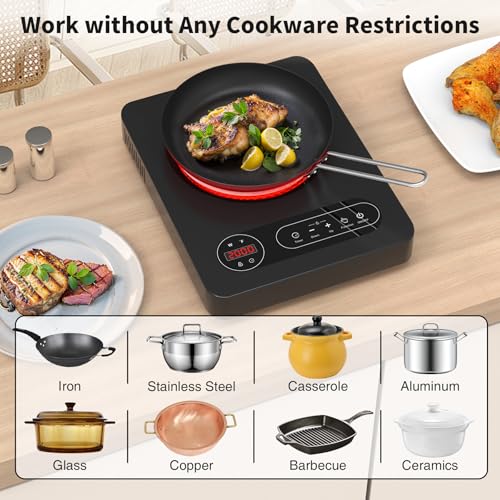 VBGK Single Burner Electric Cooktop,110V 1800W Electric Stove Top with LED Touch Control, 10 Power Levels, 4 hTimer, Safety Lock,Portable single burner cooktop