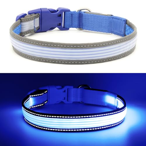 LED Dog Collar, Dog Light Up Collar,for Night Walking (Medium, Blue-2) - color: Blue-2, size: Medium