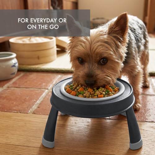 Dexas Pets Elevated Pet Feeder, Small, 1.5 Cup Capacity, Light Gray, Raised Pet Food and Water Bowl - color: Light Gray, size: Small/1.5 Cup Capacity