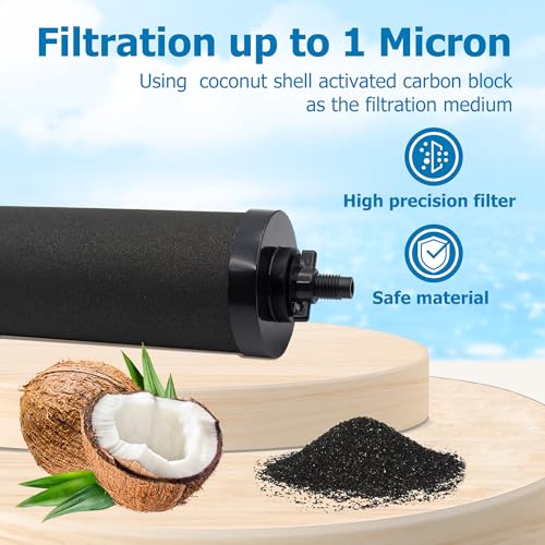 Water Filter Replacement for Berkey® BB9-2 Black Carbon Filters