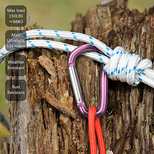 sprookber 3" Aluminum Carabiner D Ring, Caribeener Clips, Spring Snap Hook for Keychain Clip, Set of 10 - color: Pink