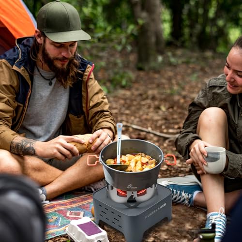 Propane Camping Stove with Carrying Case & Ignition Portable Gas Stove for Outdoor Camping BBQ Hiking - style: Infrared Burner