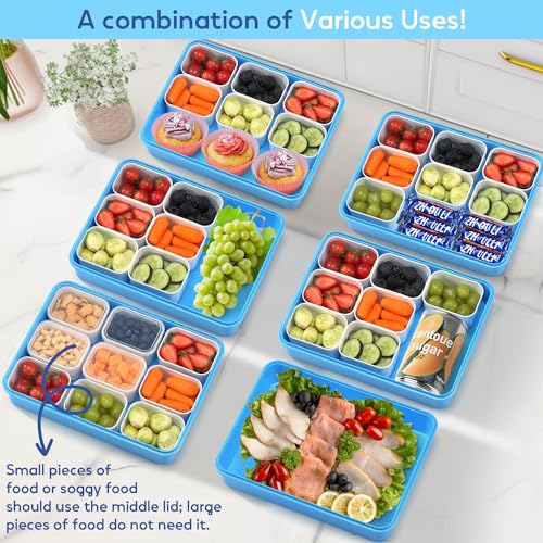 Snackle Box Container for Adults with 9 Compartment, Divided Serving Tray Snack Box Containers with Lid and Handle, Charcuterie Boxes Portable Snack Platter for Fruit Veggie Party Travel, Blue - color: Blue