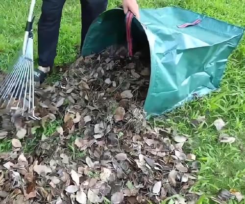 RISETEX Heavy-Duty 72 Gallon Standable Collapsible Yard Waste Leaf Bags | For lawn, garden, leaves, grass clippings, parties, laundry, camping. Durable, foldable, easy storage - style: 1 Pack