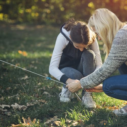 Paracord 550 lb, 7 Strand Paracord Rope 250ft 4mm, Nylon Parachute Cord for Camping, Desert Camo - size: 250ft, style: Desert Camo