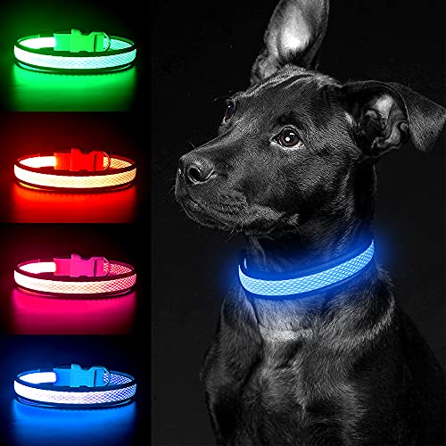 YFbrite Light up Dog Collar, USB Rechargeable LED Puppy Collar Super Bright Adjustable Glowing Dog Lights for Night Walking (Blue, Large) - color: Blue, size: Large