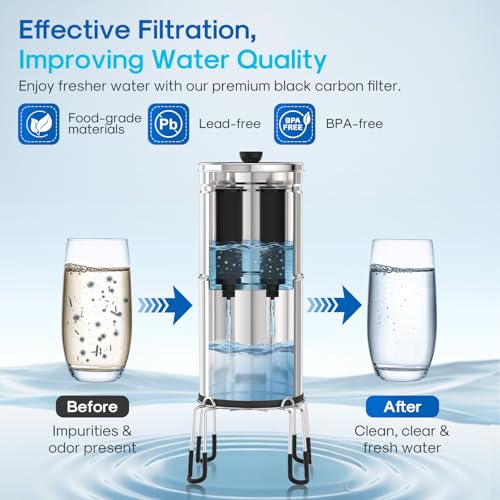 ICEPURE Water Filter Replacement for Berkey® BB9-2 Black Purification Elements, Berkey® Gravity-fed Water Filter System, 2PACK