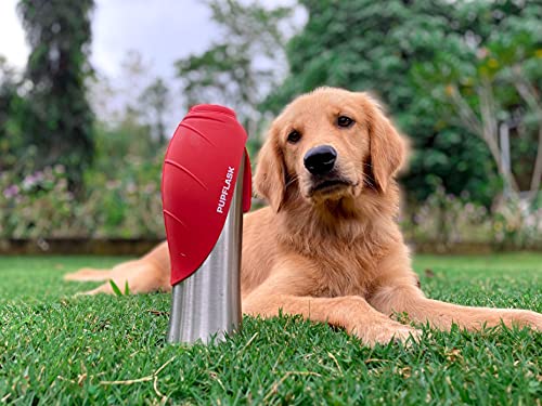 PupFlask Large Dog Water Bottle, Portable Stainless Steel Travel Bowl - color: Crimson Red, size: 40 Ounce