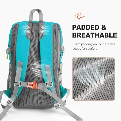 20L Hiking Backpack Lightweight Packable Daypack | Water-Repellent Nylon, Padded Straps, Dry-Wet Compartment, 2 Bottle Pockets, Reflective Strip, Hiking Camping Travel, Blue - color: Blue