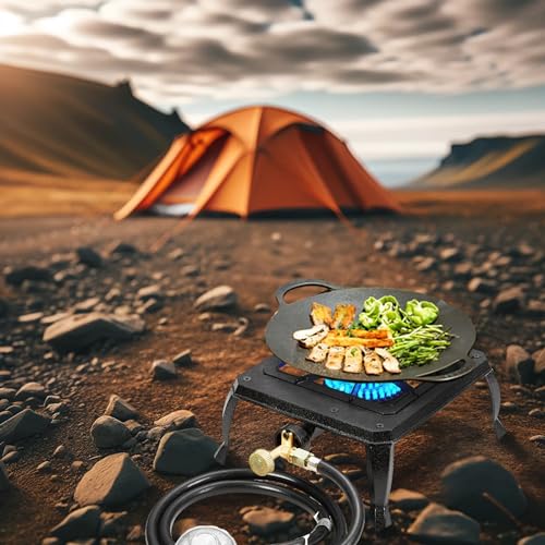 Vivicreate Single burner cast iron flame camping stove, include CSA listed regulator and gas hose (HT-C-0011)