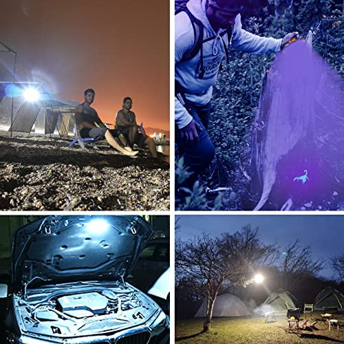 UV Flashlight Camping Light , IODOO 10000mAh 48 LED 395nm UV / 6500K Floodlight 3000LM White Light Pet Urine Detector for Dog/Cat Urine, Dry Stains, Bed Bug - size: 30W (UV)
