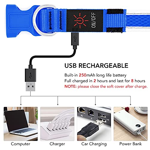 YFbrite Light up Dog Collar, USB Rechargeable LED Puppy Collar Super Bright Adjustable Glowing Dog Lights for Night Walking (Blue, Large) - color: Blue, size: Large