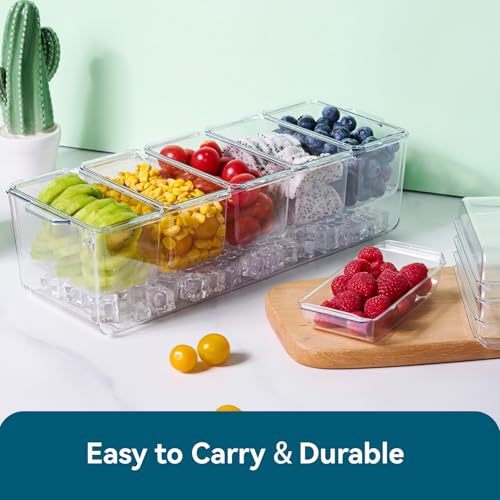 Chilled Garnish Tray with 5 Small Removable Containers and Compartments | Ice Chilled Condiment Organizer Server, Clear Garnish Serving Platter for Fruit, Salad, Food, Outdoor Events, Picnics - size: 1 Pack
