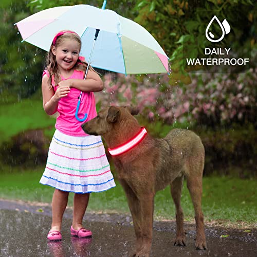 YFbrite Light up Dog Collar, USB Rechargeable LED Puppy Collar Super Bright Adjustable Glowing Dog Lights for Night Walking (Design 2- Pink, Small) - color: Version 2.0-- Pink, size: Small