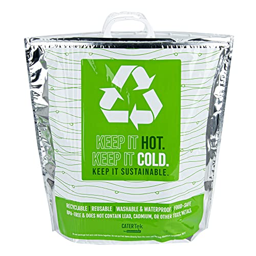 Restaurantware Green And Silver Plastic Thermal Bag, 10 Pack - size: 20"