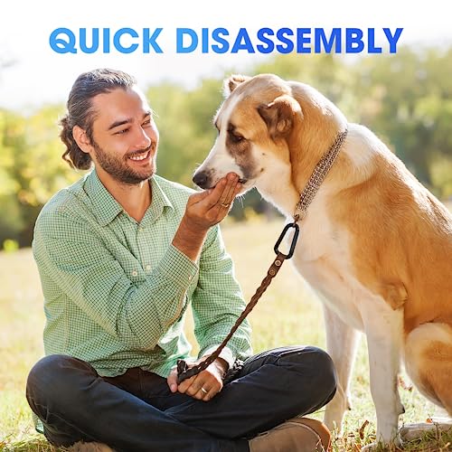 Heavy Duty Carabiner Clip, Steel Carabiners 1100lbs 3" D Shaped Spring Hook Small Clips for Hammocks, Hiking, Keychains, Outdoors and Gym, Dog Leash and Key Ring